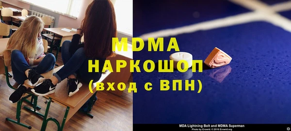 хмурый Аркадак
