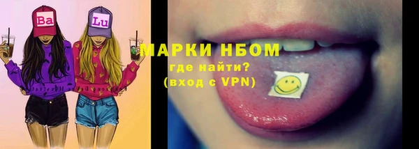 хмурый Аркадак