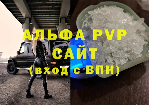 хмурый Аркадак