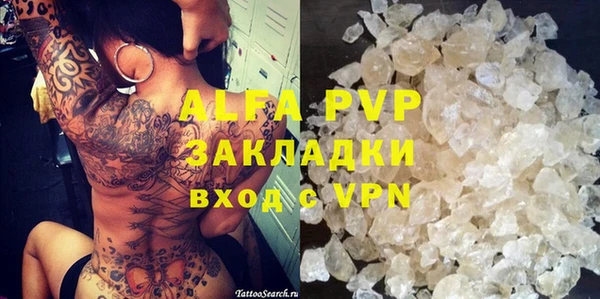 хмурый Аркадак
