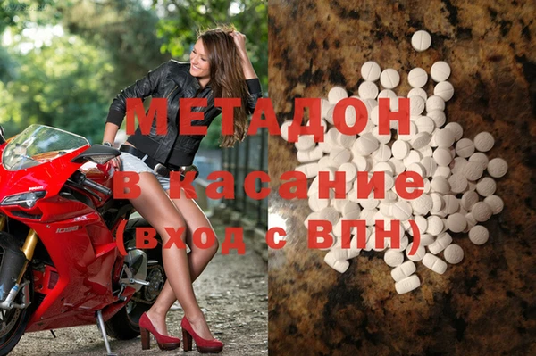 хмурый Аркадак