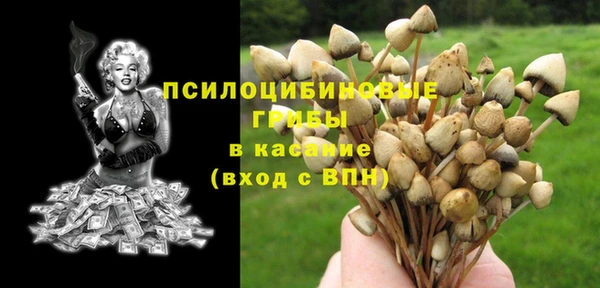 мдпв Арсеньев
