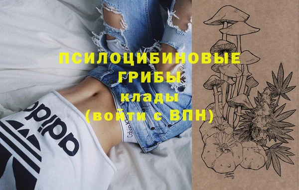 мдпв Арсеньев