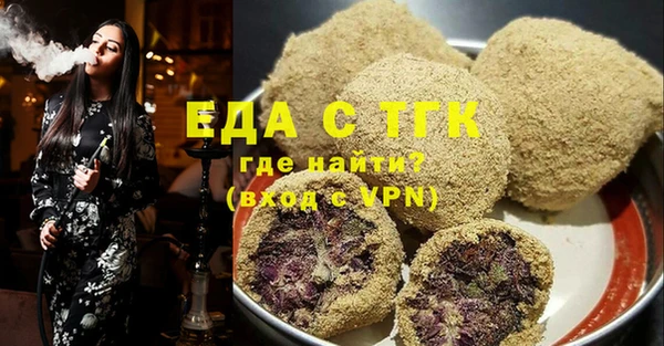 хмурый Аркадак