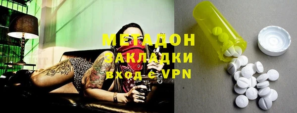 хмурый Аркадак