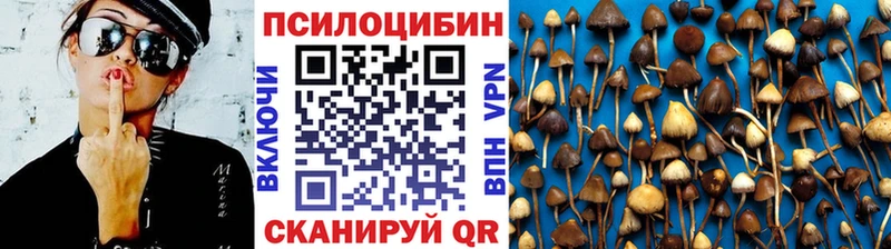 Псилоцибиновые грибы Psilocybine cubensis  даркнет сайт  Полярные Зори 